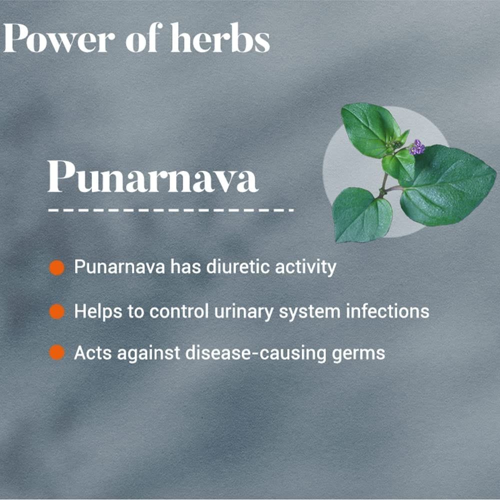 Buy Himalaya Punarnava 60 capsules Online at Best Prices | Wellness Forever